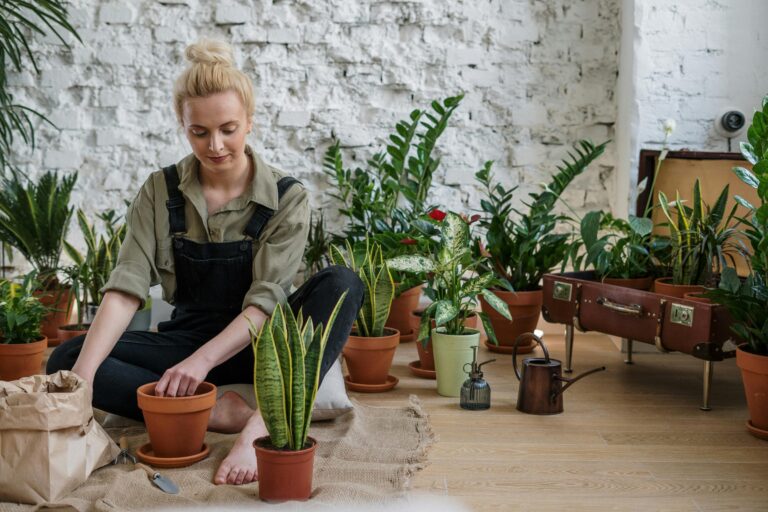 Gardener Jobs in Australia with Visa Sponsorship (2025 Guide)
